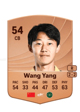 Wang Yang 54