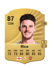Rice 87