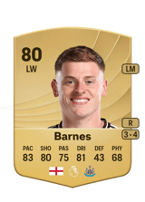 Barnes 80