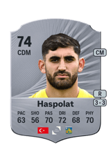 Haspolat 74