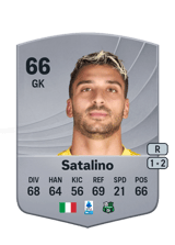 Satalino 66