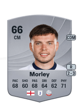 Morley 66