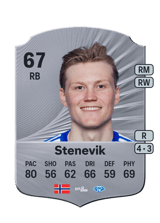 Stenevik 67