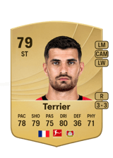 Terrier 79