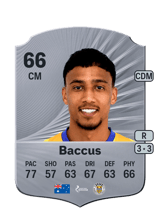 Baccus 66