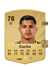 Cucho 78