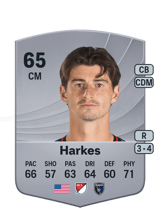 Harkes 65