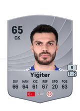 Yiğiter 65