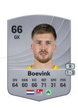 Boevink 66