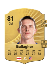 Gallagher 81