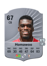 Homawoo 67