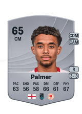 Palmer 65
