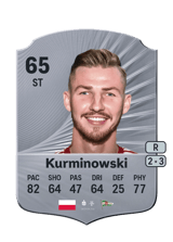Kurminowski 65