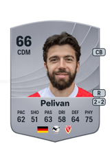 Pelivan 66