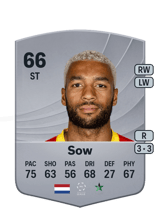 Sow 66
