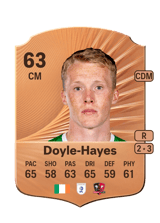 Doyle-Hayes 66