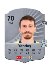 Yandaş 70