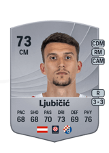 Ljubičić 73