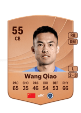 Wang Qiao 55