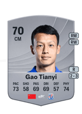Gao Tianyi 70