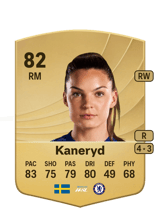 Kaneryd 82