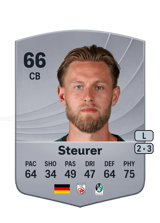 Steurer 66
