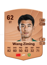 Wang Ziming 63