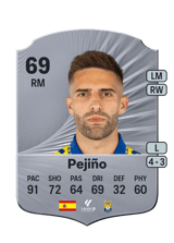Pejiño 73