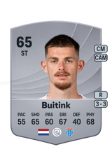 Buitink 65