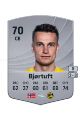 Bjørtuft 70