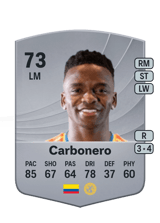 Carbonero 73