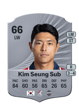 Kim Seung Sub 66