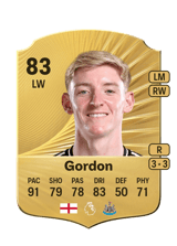 Gordon 83