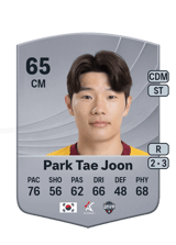 Park Tae Joon 65