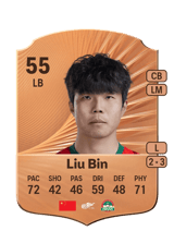Liu Bin 55