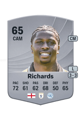 Richards 65