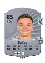 Bailey 65