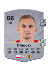 Długosz 66