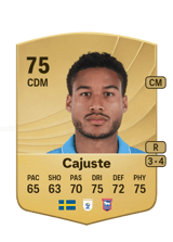 Cajuste 75