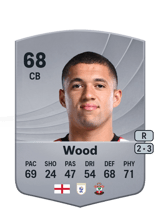 Wood 68
