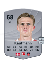 Kaufmann 68