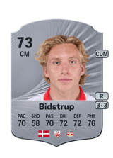Bidstrup 73