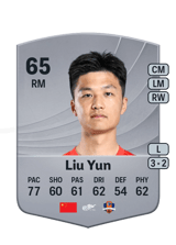 Liu Yun 65