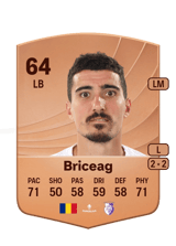 Briceag 64