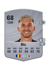 Bic 68