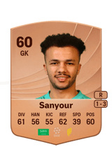 Sanyour 60
