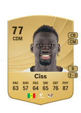 Ciss 77