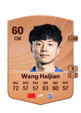 Wang Haijian 60