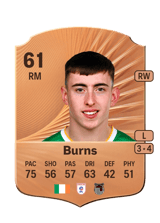 Burns 61
