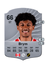 Brym 66